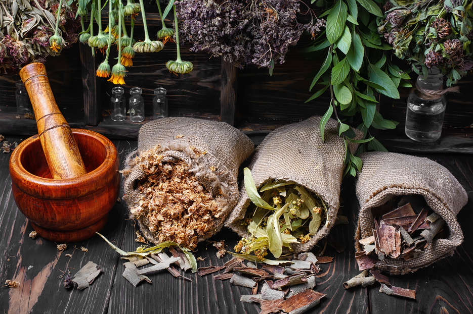 traditional medicinal herb
