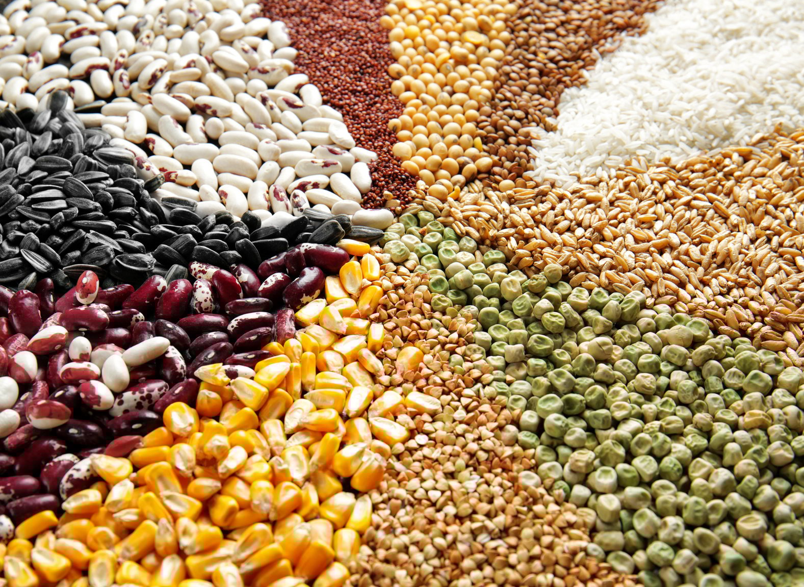 Different Types of Cereals, Grains and Legumes