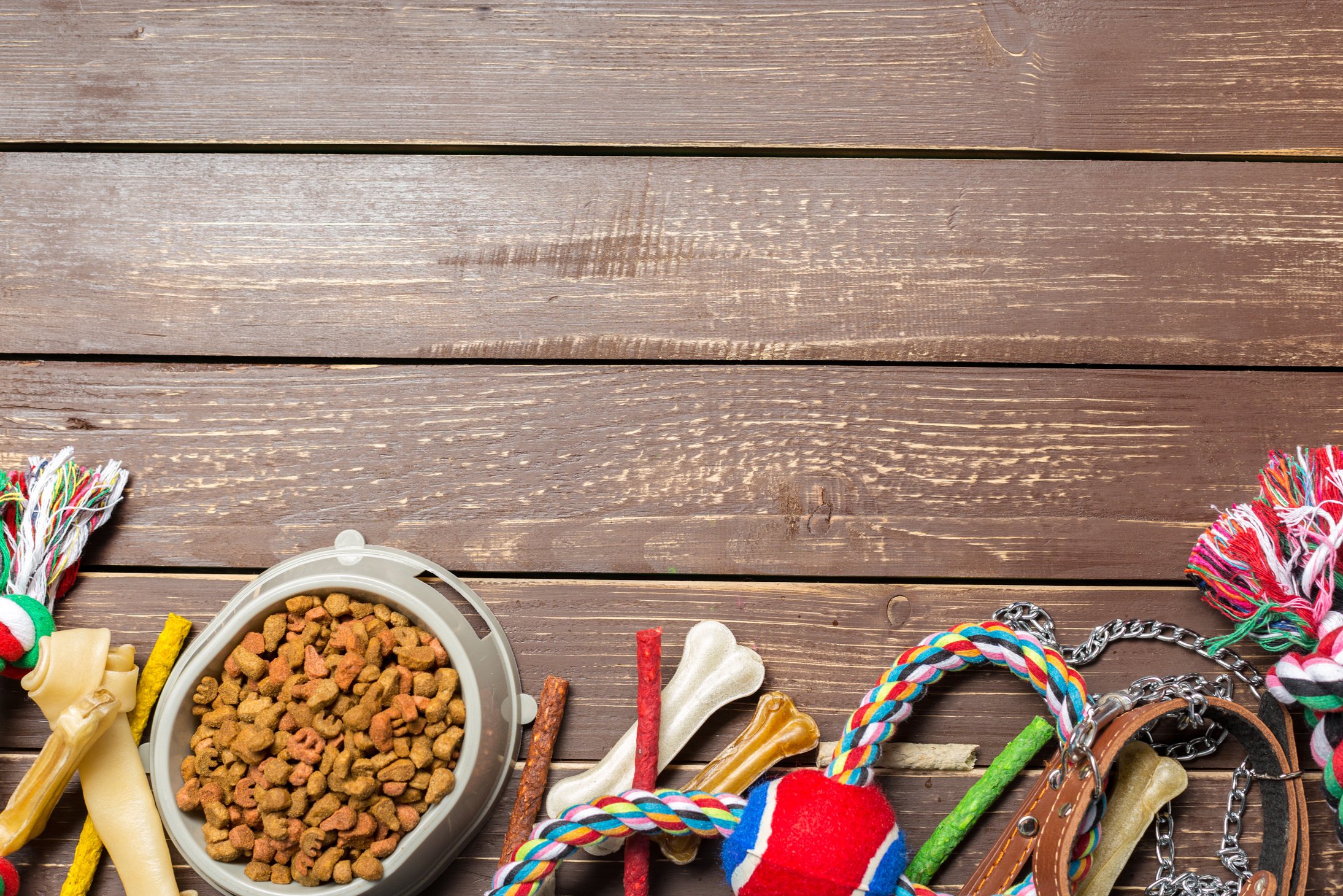 Pet accessories, food, toy. Top view