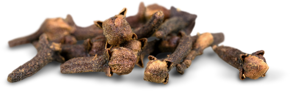 Cloves